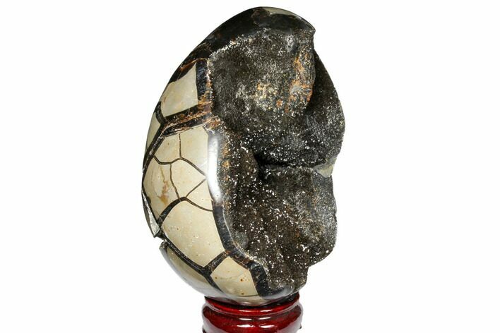 Septarian Dragon Egg Geode - Black Crystals #123050